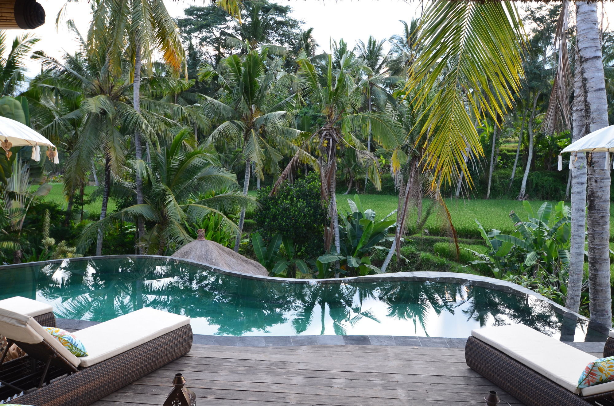 Calma & - Rice Fields View, Infinity Pool ! 4* Ubud